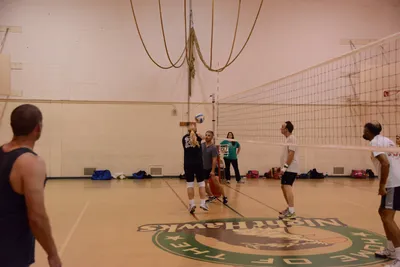 DSC_1838 (Large).JPG